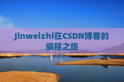 Jinweizhi在CSDN博客的编程之旅